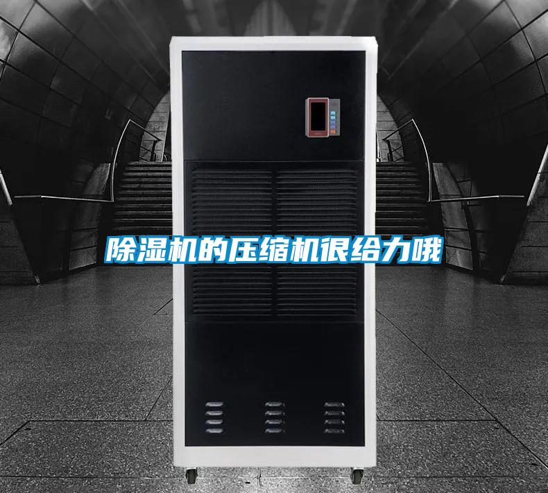 麻豆视频黄网站的压缩机很给力哦