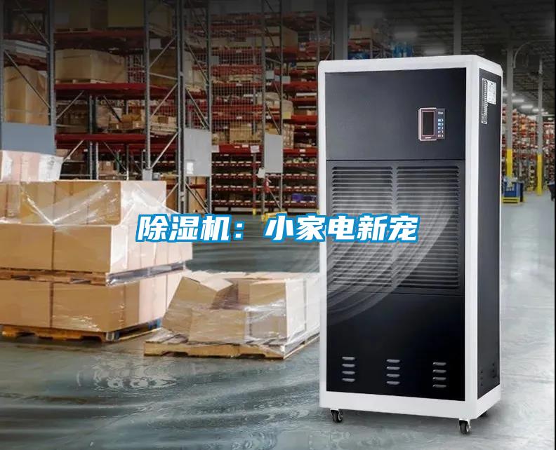 麻豆视频黄网站：小家电新宠