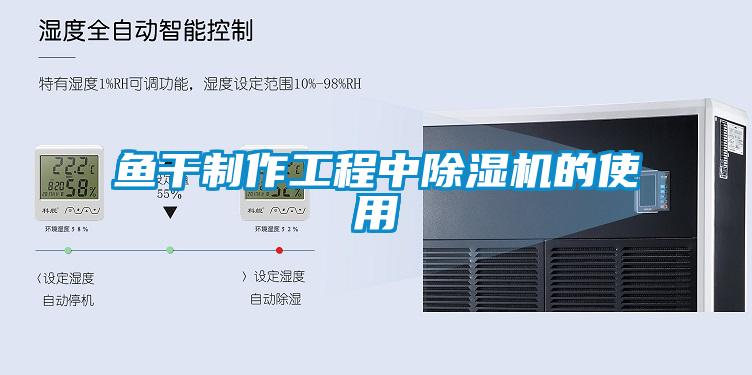 鱼干制作工程中麻豆视频黄网站的使用