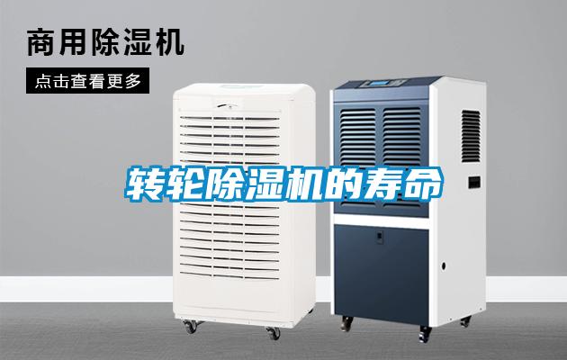转轮麻豆视频黄网站的寿命