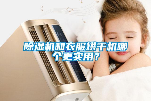 麻豆视频黄网站和衣服烘干机哪个更实用？