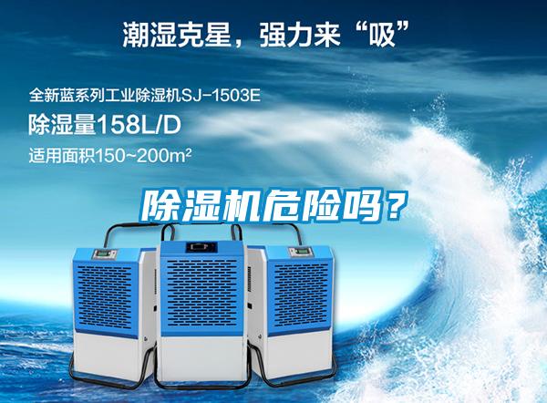 麻豆视频黄网站危险吗？