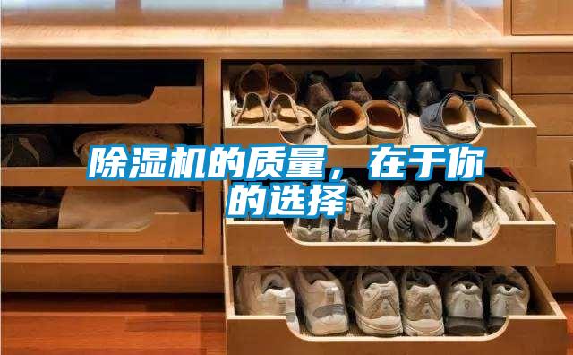 麻豆视频黄网站的质量，在于你的选择