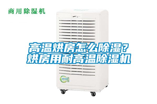 高温烘房怎么除湿？烘房用耐高温麻豆视频黄网站