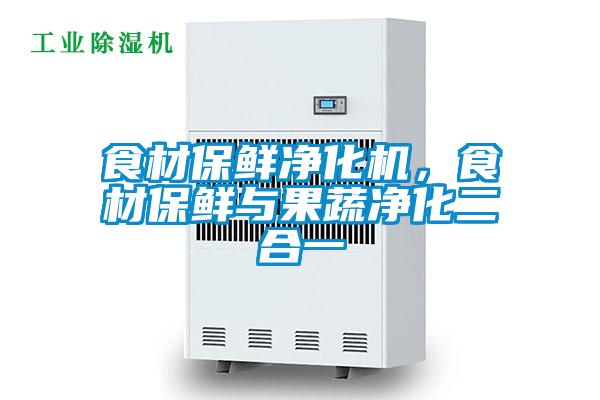 食材保鲜净化机，食材保鲜与果蔬净化二合一