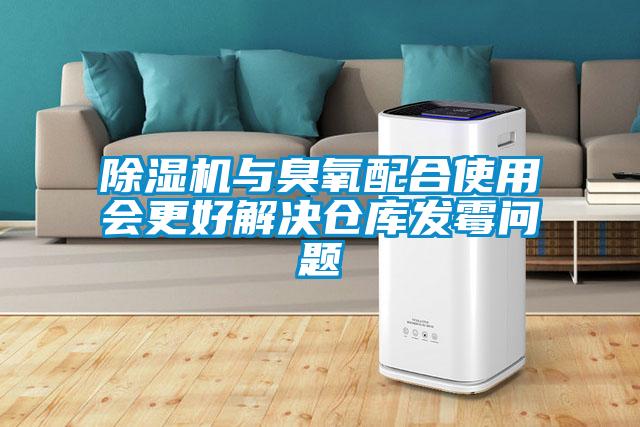 麻豆视频黄网站与臭氧配合使用会更好解决仓库发霉问题