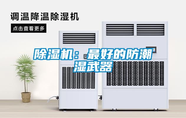 麻豆视频黄网站：最好的防潮湿武器