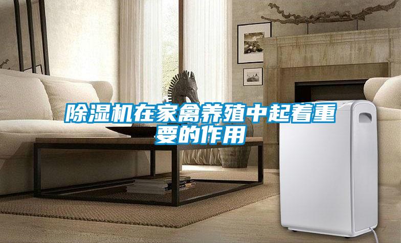 麻豆视频黄网站在家禽养殖中起着重要的作用