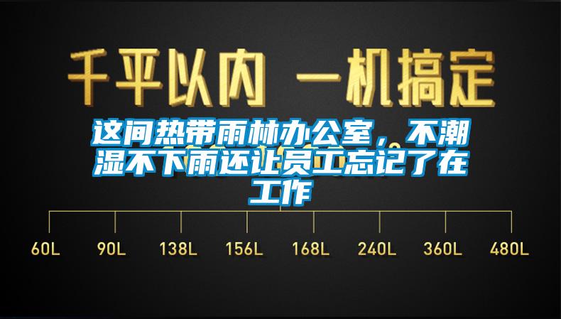这间热带雨林办公室，不潮湿不下雨还让员工忘记了在工作