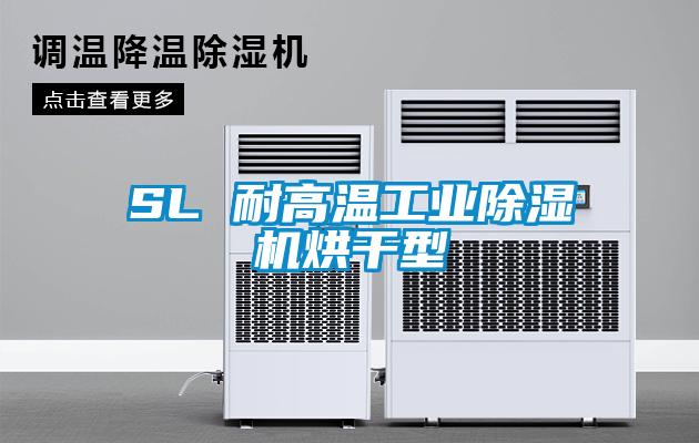 SL 耐高温工业麻豆视频黄网站烘干型