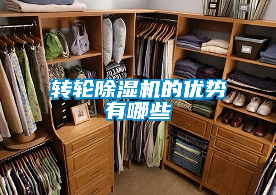 转轮麻豆视频黄网站的优势有哪些