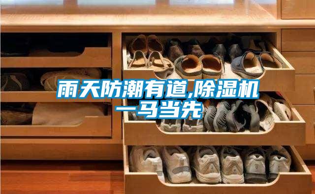 雨天防潮有道,麻豆视频黄网站一马当先
