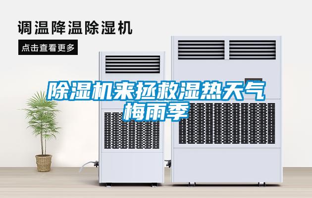 麻豆视频黄网站来拯救湿热天气梅雨季