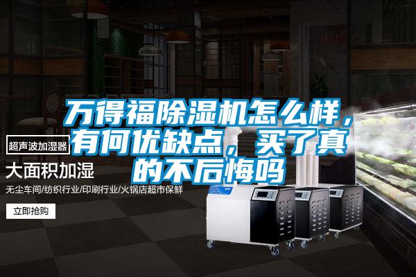 万得福麻豆视频黄网站怎么样，有何优缺点，买了真的不后悔吗