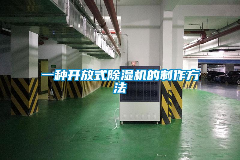 一种开放式麻豆视频黄网站的制作方法