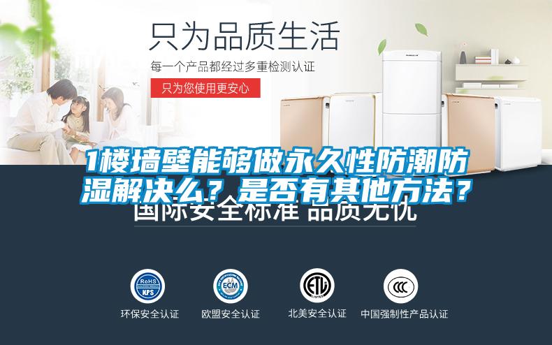 1楼墙壁能够做永久性防潮防湿解决么？是否有其他方法？