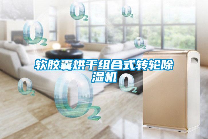 软胶囊烘干组合式转轮麻豆视频黄网站