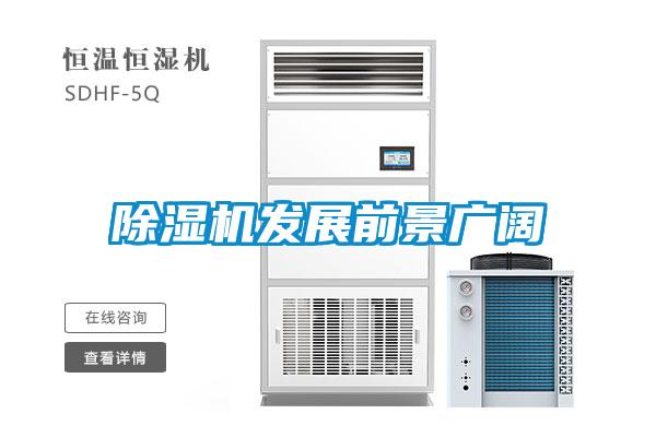 麻豆视频黄网站发展前景广阔