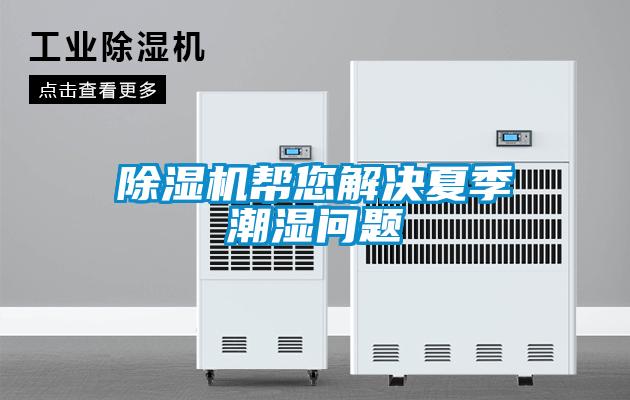 麻豆视频黄网站帮您解决夏季潮湿问题