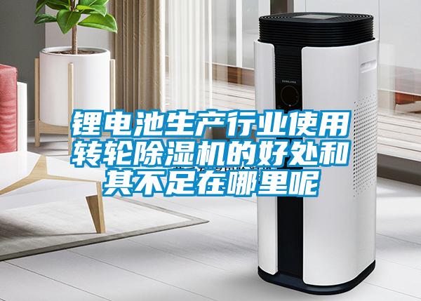 锂电池生产行业使用转轮麻豆视频黄网站的好处和其不足在哪里呢