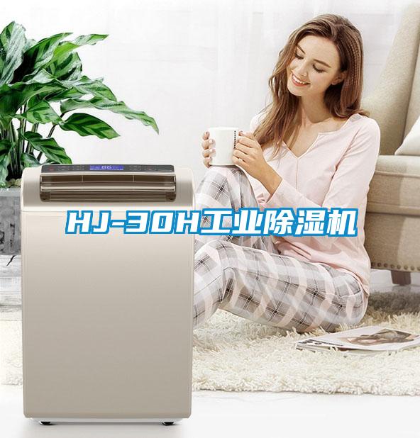 HJ-30H工业麻豆视频黄网站