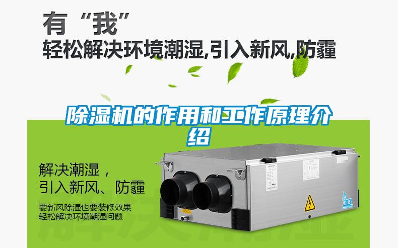 麻豆视频黄网站的作用和工作原理介绍