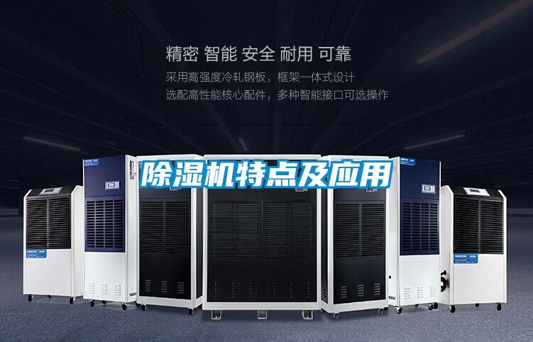 麻豆视频黄网站特点及应用