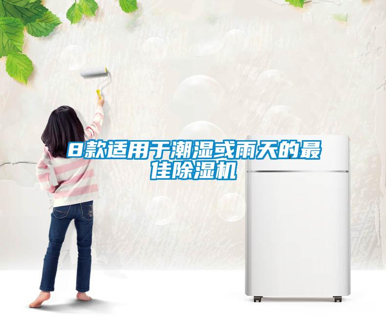 8款适用于潮湿或雨天的最佳麻豆视频黄网站
