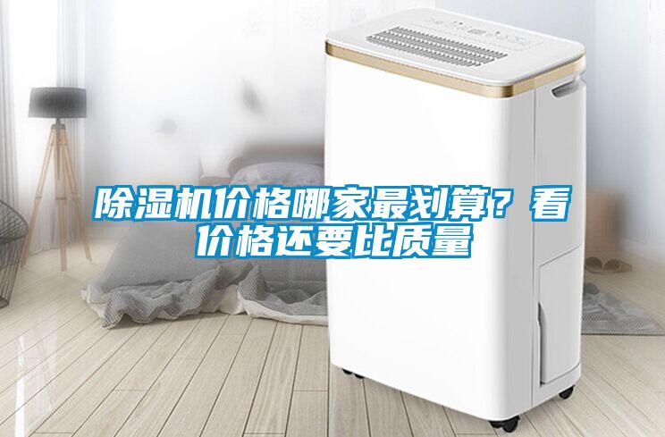 麻豆视频黄网站价格哪家最划算？看价格还要比质量