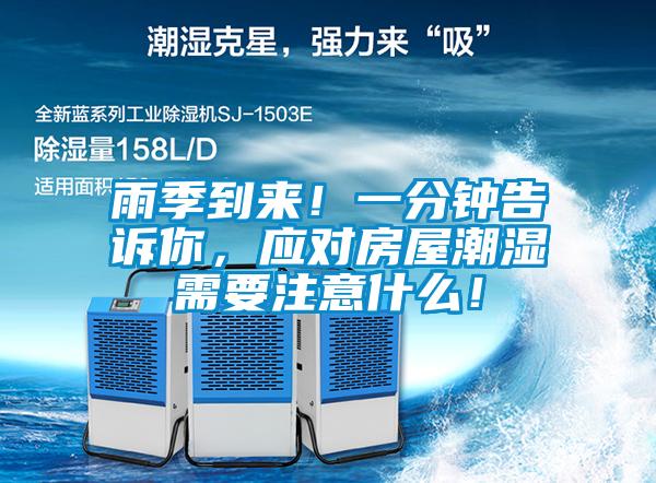 雨季到来！一分钟告诉你，应对房屋潮湿需要注意什么！