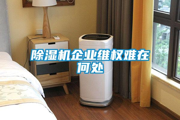 麻豆视频黄网站企业维权难在何处