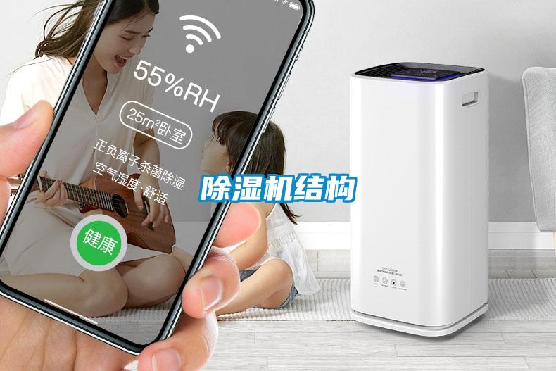 麻豆视频黄网站结构