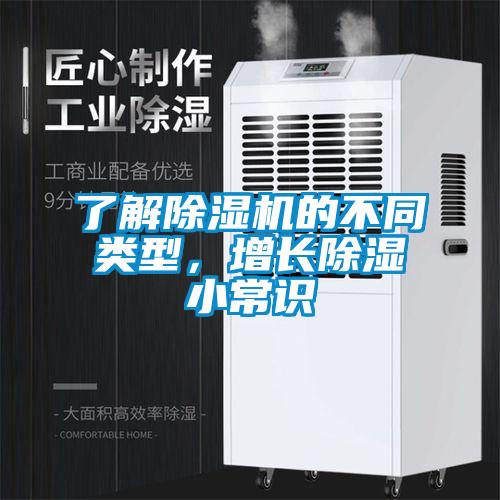 了解麻豆视频黄网站的不同类型，增长除湿小常识