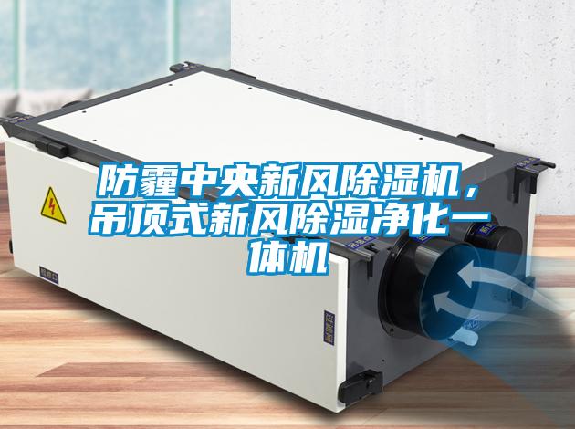 防霾中央新风麻豆视频黄网站，吊顶式新风除湿净化一体机