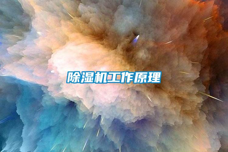 麻豆视频黄网站工作原理