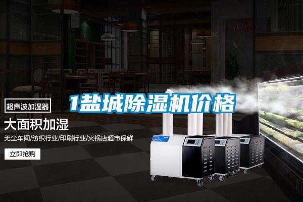 1盐城麻豆视频黄网站价格