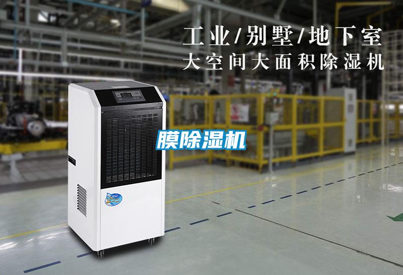 膜麻豆视频黄网站