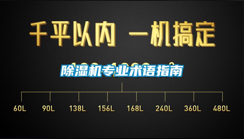 麻豆视频黄网站专业术语指南