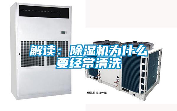 解读：麻豆视频黄网站为什么要经常清洗