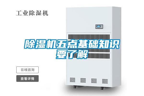 麻豆视频黄网站五点基础知识要了解