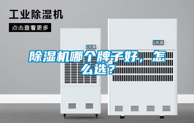 麻豆视频黄网站哪个牌子好，怎么选？