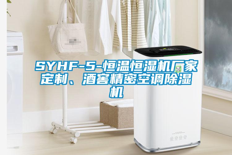 SYHF-5-恒温恒湿机厂家定制、酒窖精密空调麻豆视频黄网站