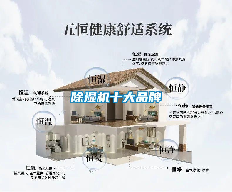 麻豆视频黄网站十大品牌