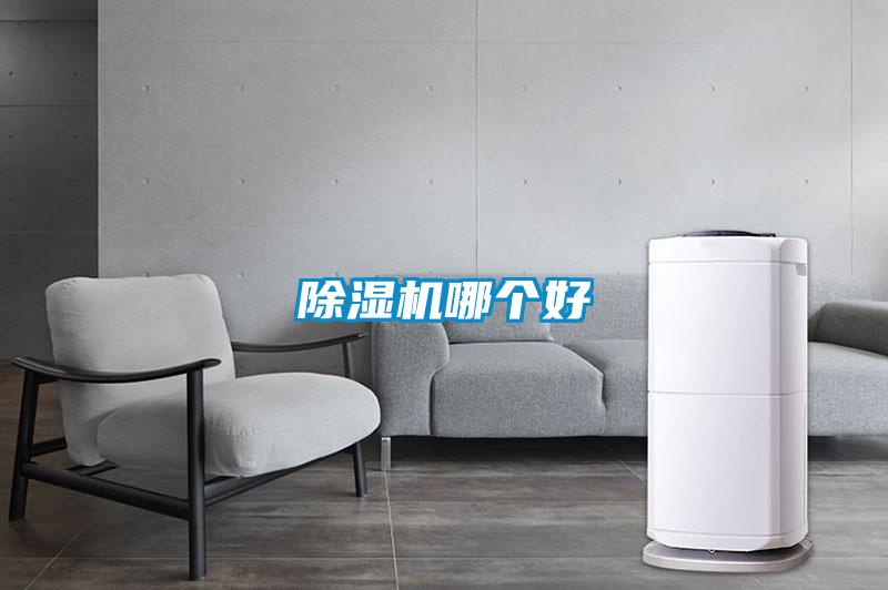 麻豆视频黄网站哪个好