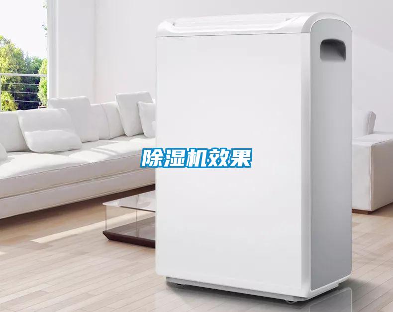 麻豆视频黄网站效果