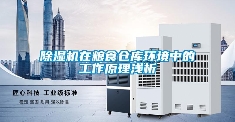 麻豆视频黄网站在粮食仓库环境中的工作原理浅析