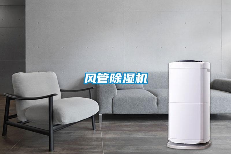 风管麻豆视频黄网站