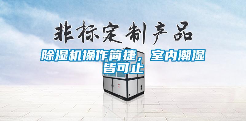 麻豆视频黄网站操作简捷，室内潮湿皆可止