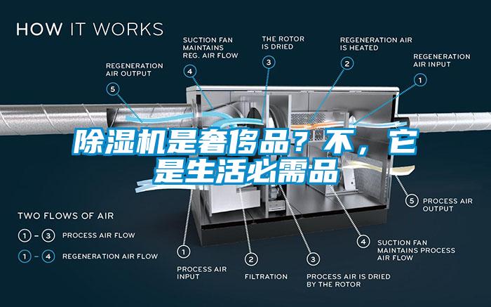麻豆视频黄网站是奢侈品？不，它是生活必需品
