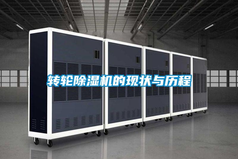 转轮麻豆视频黄网站的现状与历程
